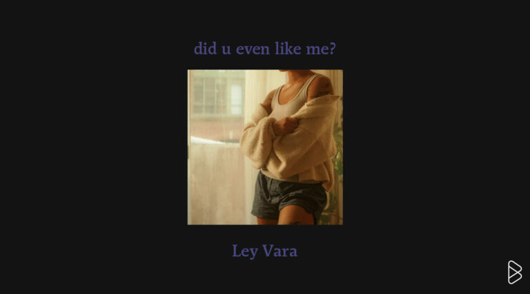 did u even like me? - Ley Vara - MONTHLY MIXTAPE: FEBRUARY 2025