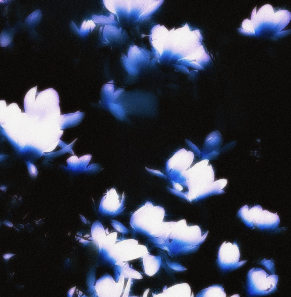 "flowers in spring" - Constance Shim